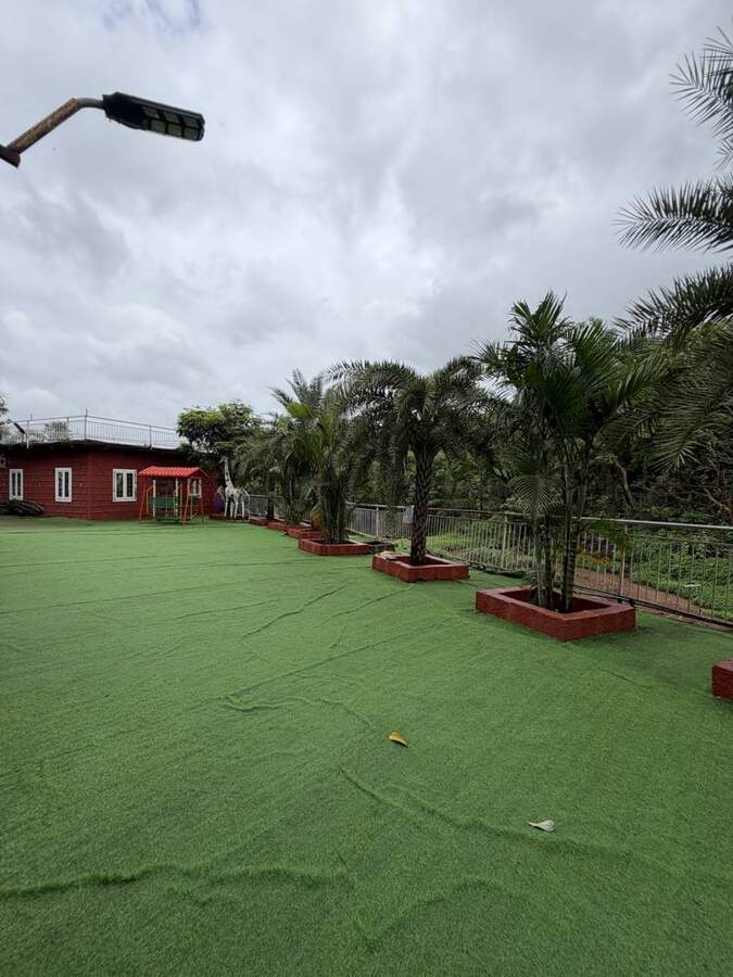 The lawn